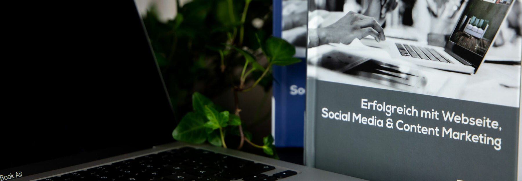 Online-Marketing-Header: Buchcover "Erfolgreich mit Webseite, Social Media & Content Marketing"